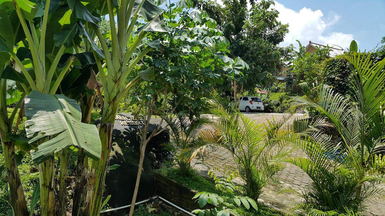Kali Catur 2*